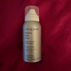 Perfect hair Day™ Dry Shampoo 2.4 oz